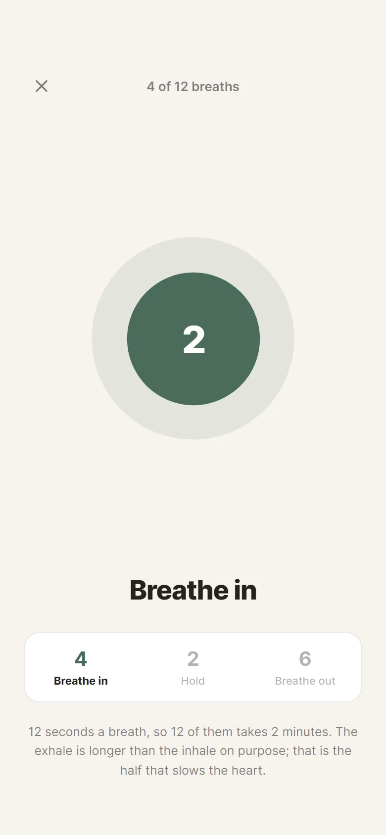 Cairn Breathing Pacer preview