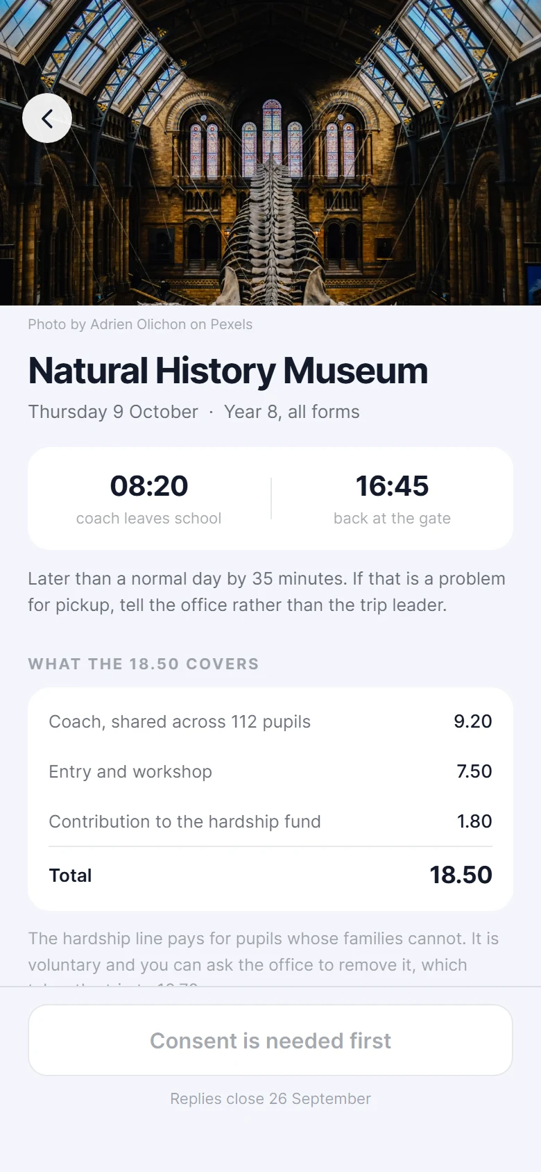 Knapsack Trip Consent preview