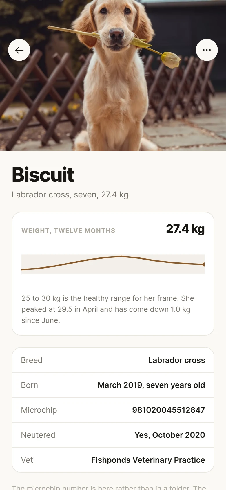 Paws Pet Profile preview